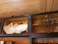 Partij decoratie - afbeelding 1 van  29