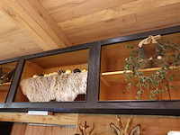 Partij decoratie - afbeelding 12 van  29
