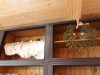 Partij decoratie - afbeelding 25 van  29