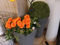 Partij decoratie - afbeelding 15 van  17