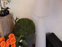 Partij decoratie - afbeelding 16 van  17