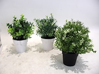 Partij decoratie - afbeelding 3 van  4