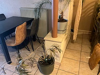 Partij decoratiemateriaal - afbeelding 5 van  9