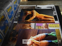 Partij div 18+ speelkaarten en voetbalkaarten - afbeelding 5 van  5