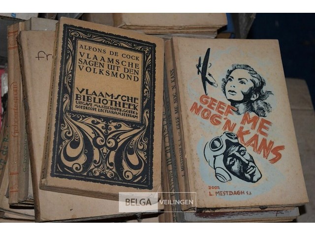 Partij div boeken - afbeelding 10 van  12