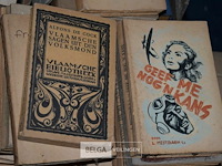 Partij div boeken - afbeelding 10 van  12