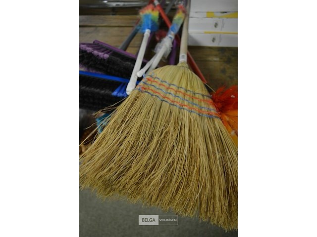 Partij div. borstels (5 borstels, 4 spinnenborstel en 1 bezem - afbeelding 4 van  4