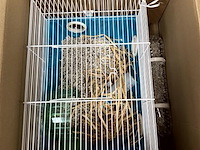 Partij div. huisdieren toebehoren - afbeelding 3 van  3