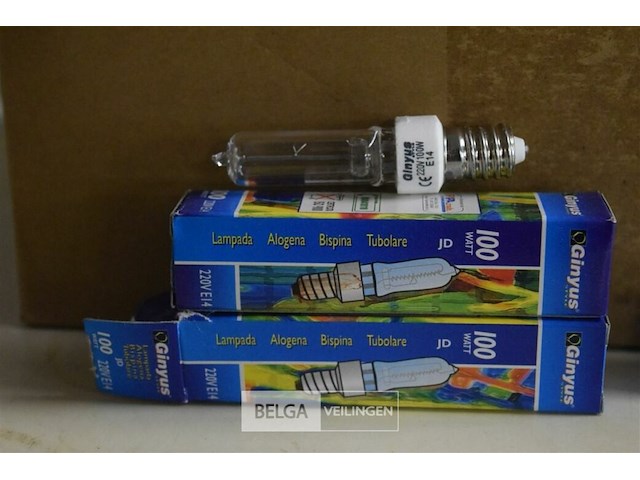 Partij div lampen - afbeelding 2 van  5