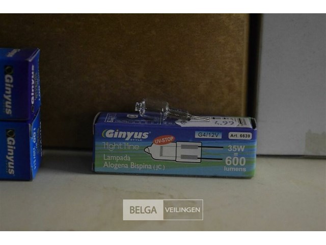 Partij div lampen - afbeelding 3 van  5