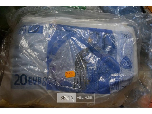 Partij div modellen sierkussens - afbeelding 4 van  5