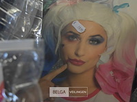 Partij div pruiken - afbeelding 4 van  4