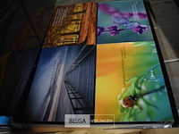 Partij div verzamel postkaarten, telegrams - afbeelding 5 van  5