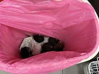 Partij divers afvalemmers en kuismateriaal - afbeelding 4 van  9