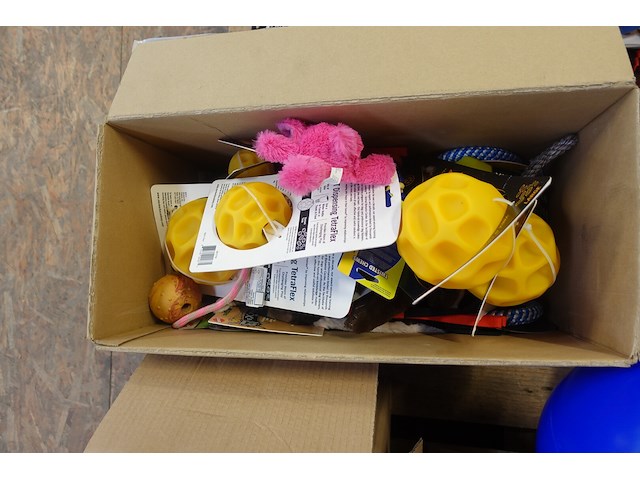 Partij divers honden speelgoed - afbeelding 5 van  8