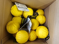 Partij divers honden speelgoed - afbeelding 3 van  5