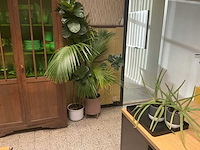 Partij divers meubilair - afbeelding 8 van  9