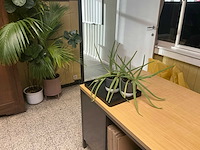 Partij divers meubilair - afbeelding 9 van  9