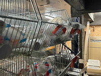 Partij divers sanitair installatiemateriaal - afbeelding 15 van  22