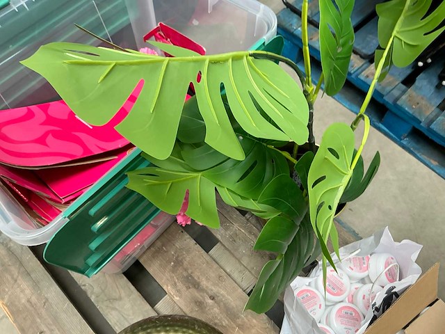 Partij divers - afbeelding 6 van  6