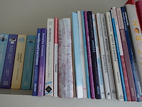 Partij diverse boeken - afbeelding 2 van  12