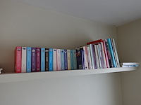 Partij diverse boeken - afbeelding 1 van  12