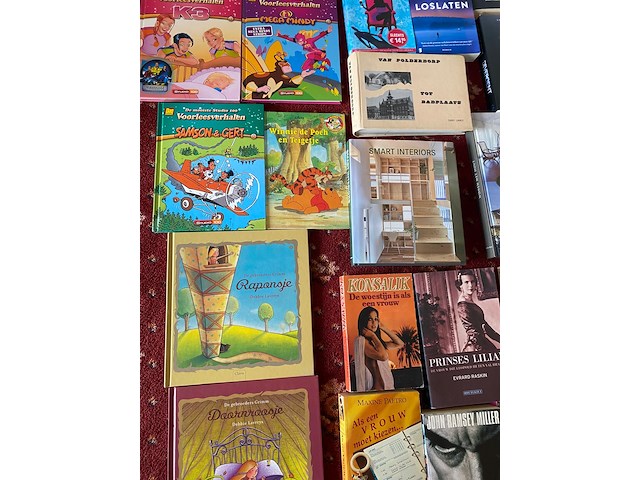 Partij diverse boeken - afbeelding 2 van  11
