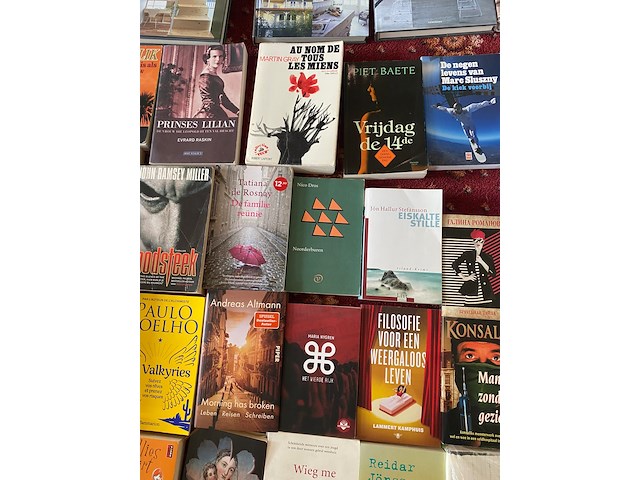 Partij diverse boeken - afbeelding 3 van  11
