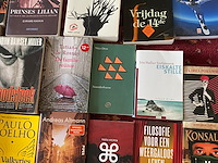 Partij diverse boeken - afbeelding 3 van  11