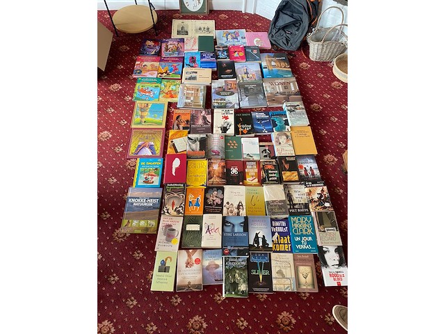Partij diverse boeken - afbeelding 1 van  11