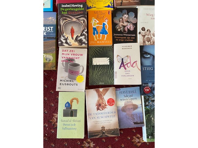 Partij diverse boeken - afbeelding 5 van  11
