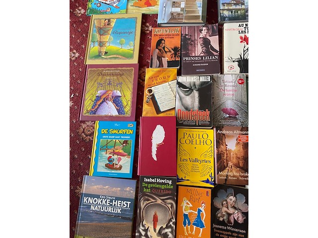 Partij diverse boeken - afbeelding 6 van  11
