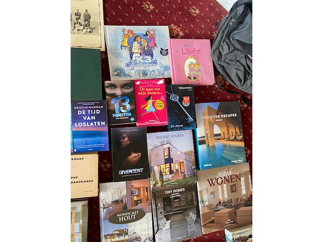 Partij diverse boeken - afbeelding 8 van  11