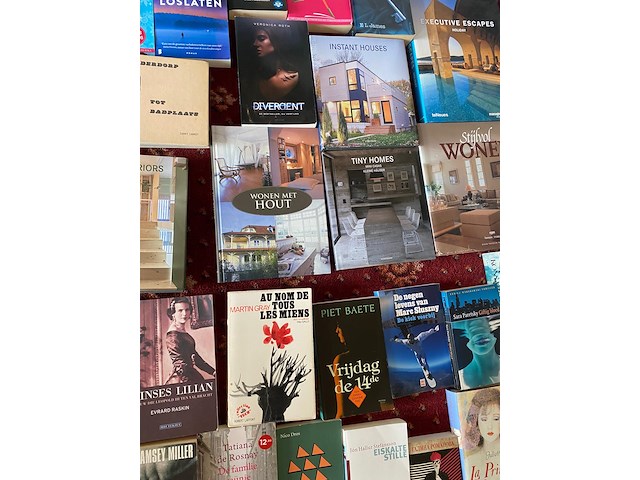 Partij diverse boeken - afbeelding 9 van  11