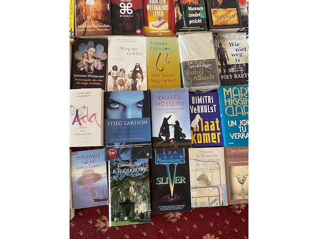 Partij diverse boeken - afbeelding 10 van  11