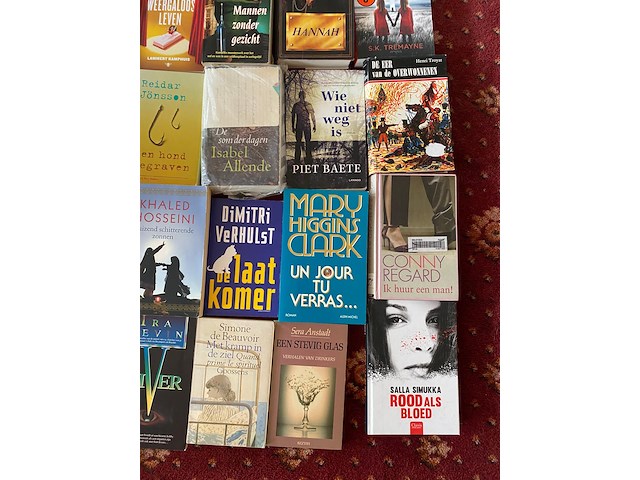 Partij diverse boeken - afbeelding 11 van  11