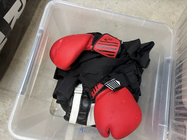 Partij diverse bokshandschoenen - afbeelding 5 van  5