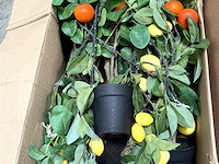 Partij diverse decoratie en hobbymateriaal - afbeelding 3 van  4