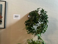 Partij diverse decoratie - afbeelding 6 van  7