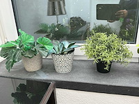 Partij diverse decoratie - afbeelding 4 van  10