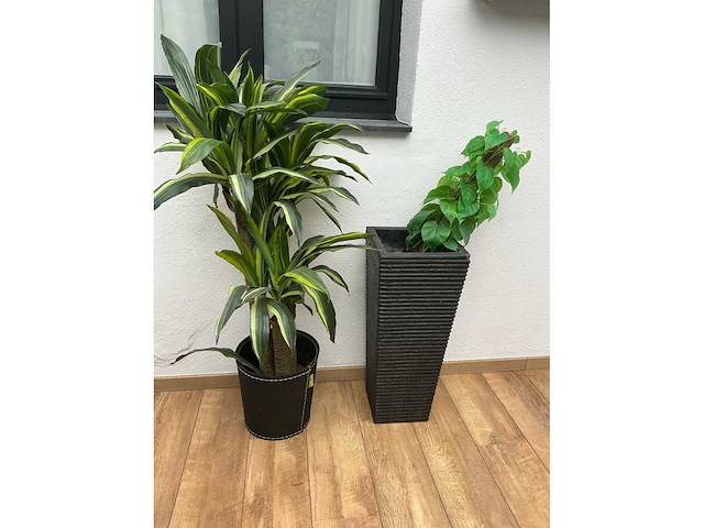 Partij diverse decoratie - afbeelding 8 van  10