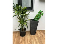 Partij diverse decoratie - afbeelding 8 van  10
