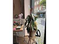Partij diverse decoratie - afbeelding 2 van  6