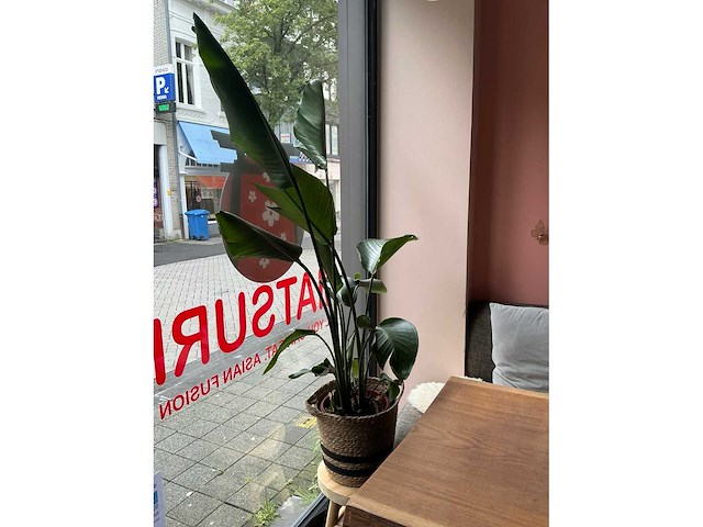 Partij diverse decoratie - afbeelding 3 van  6