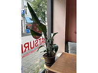 Partij diverse decoratie - afbeelding 3 van  6