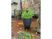 Partij diverse decoratie - afbeelding 4 van  7