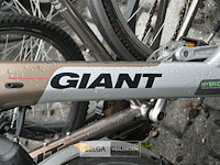 Partij diverse fietsen - afbeelding 6 van  7