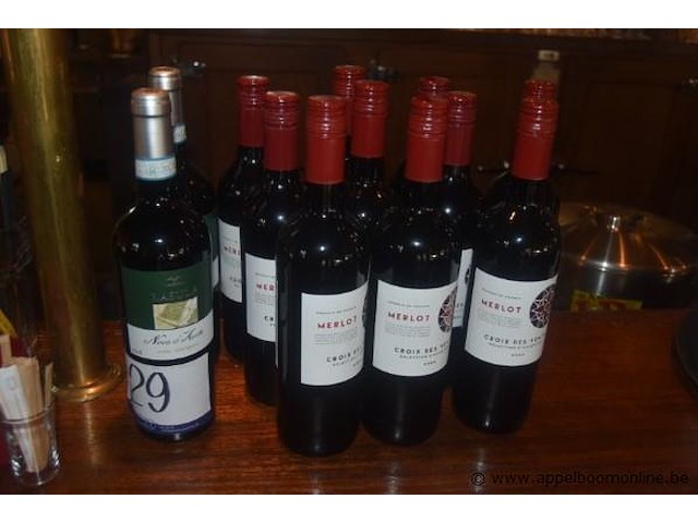 Partij diverse flessen rode wijn, waaronder 9x croix des vents merlot 2023 en 2x macciocchi rasula nero d'avola - afbeelding 1 van  3