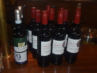 Partij diverse flessen rode wijn, waaronder 9x croix des vents merlot 2023 en 2x macciocchi rasula nero d'avola