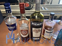 Partij diverse geestrijke dranken - afbeelding 3 van  14
